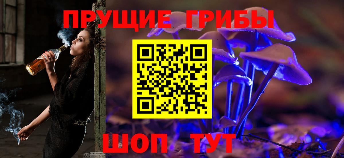 Псилоцибиновые грибы Psilocybe  Псилоцибиновые грибы ЛСД  Вход с VPN  Семёнов 